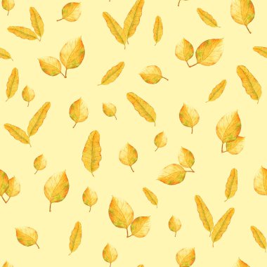 Bu tasarım yumuşak bir ışık zeminine saçılmış çeşitli sarı ve turuncu yaprakları içeriyor, canlı ve ılık bir görünüm yaratarak sonbahar temalı projeler için mükemmel.