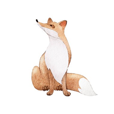 Çekici bir tilki tuhaf bir bakışla oturuyor, sıcak kahverengi gölgeler ve yumuşak beyaz bir göbek sergiliyor. Sanat eserleri doğanın ve vahşi yaşamın neşeli özünü yakalar..