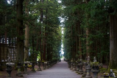 Huzurlu bir patika, görkemli ağaçlarla kaplı, sessiz bir yansımaya yol açan, bir huzur ve içgözlem hissi uyandıran..