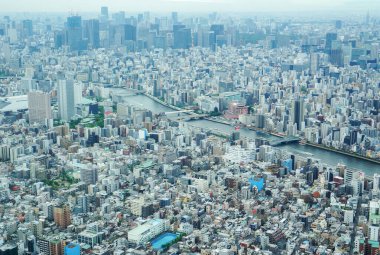 Yayılan bir şehir manzarasının panoramik görüntüsü, gözün alabildiğine genişleyen yoğun bina ve mimari şebekesi, kıvrılan bir nehirle noktalanıyor. Japonya 'daki Tokyo Skytree' den