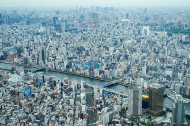 Yayılan bir şehir manzarasının panoramik görüntüsü, gözün alabildiğine genişleyen yoğun bina ve mimari şebekesi, kıvrılan bir nehirle noktalanıyor. Japonya 'daki Tokyo Skytree' den
