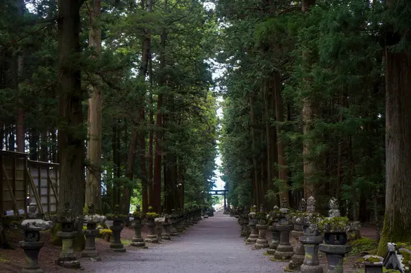 Huzurlu bir patika, görkemli ağaçlarla kaplı, sessiz bir yansımaya yol açan, bir huzur ve içgözlem hissi uyandıran..