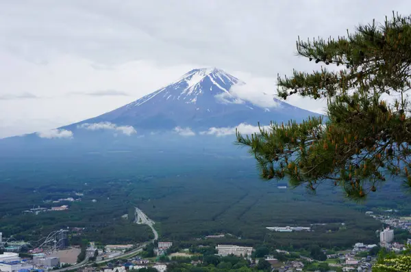 Fuji Dağı, karla kaplı ikonik zirvesiyle, bulutlardan çıkar, doğanın görkeminin nefes kesici bir manzarasını sunar, yeşil manzaraların sakin bir zeminine karşı kurulur..