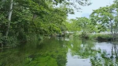 Etrafı canlı yeşilliklerle çevrili akan bir nehrin sakin ve büyüleyici görüntüsü yukarıdaki yemyeşil ve yumuşak gökyüzünü yansıtıyor. Japonya 'daki Daio Wasabi Çiftlik Akıntısı