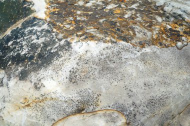 Ziyaretçiler Tayland 'da kayaların çarpıcı biçimlerine hayranlar.