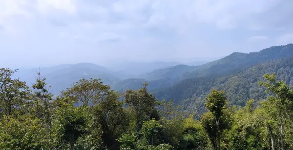 Geniş manzaralı yuvarlanan tepeler ve yoğun orman yeşilliği yumuşak bir bulut örtüsü altında