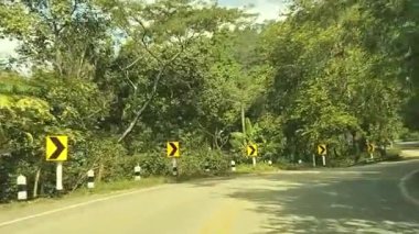 Kuzey Tayland 'daki sessiz ve yemyeşil Doi Tung' da dolambaçlı bir yolda bir yolculuk..