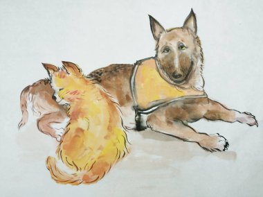 Şirin kedicik ve kahverengi Alman çoban köpeği K9 Pilav kağıdının arka planında birlikte kalırlar.