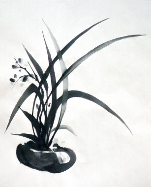 mürekkep fırçasıyla çimenleri bir vazoda boyamak, beyaz sırtüstü tek renkli fırça darbesi vazoda çimenleri boyamak, beyaz arka planda tek renkli otlar.