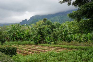 Huzurlu bir manzaranın, görkemli dağların eteklerine kurulmuş canlı bir çiftliğin resimsel bir görüntüsü..