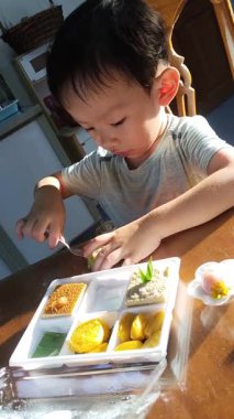 Bir çocuk bir bento kutusunu incelerken büyüleyici bir an ortaya çıkıyor. Lezzetli yiyeceklerle dolu renkli bir kutu. Keşif sevincini temsil ediyor..