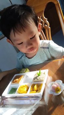 Bir çocuk bir bento kutusunu incelerken büyüleyici bir an ortaya çıkıyor. Lezzetli yiyeceklerle dolu renkli bir kutu. Keşif sevincini temsil ediyor..