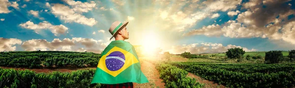 Hermoso Granjero Negro Sosteniendo Bandera Brasil Fondo Del Campo Granjeros — Foto de Stock