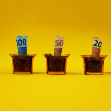 Brazilian Money Planted in a Pot or Vaze over Yellow Background. Concept image of Brazilian Economy Growth. clipart