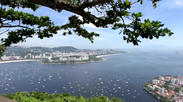 Rio Janeiro Scatto Cinematografico Della Spiaggia Sul Lungomare Rio Sugar — Video Stock