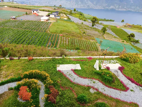 Öğlen vakti güzel renkli çiçek bahçesi