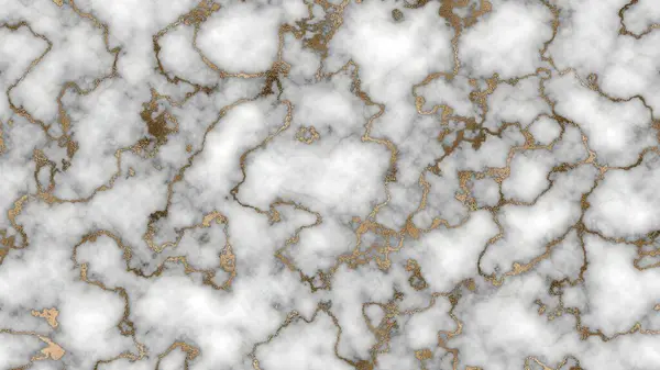 Lüks mermer desenli arka plan siyah beyaz altın rengi