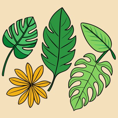 Tropical Leaves Vector Set  Exotic Botanical Illustration Design for Nature Branding and Creative Projects clipart