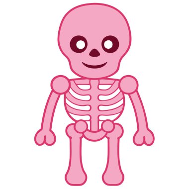 Ayrıntılı İnsan İskeleti Anatomi İllüstrasyonu Eğitim ve Tıbbi Kaynaklar Vektörü