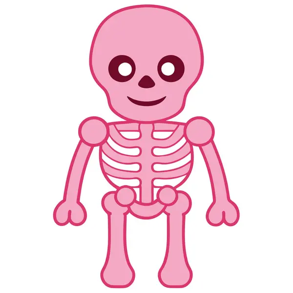 Ayrıntılı İnsan İskeleti Anatomi İllüstrasyonu Eğitim ve Tıbbi Kaynaklar Vektörü