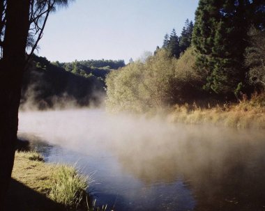 Serene Autumn Gölü Doğa ve Mevsimsel Tasarımlar için Sahne Vektörü Sanatı