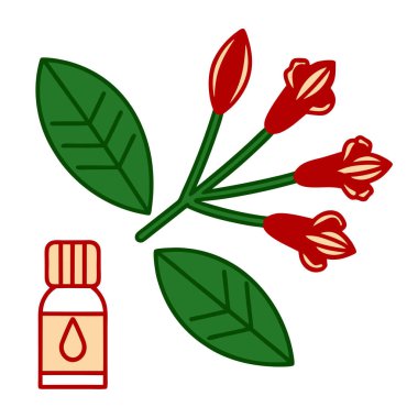 Clove Buds with a Small Bottle of Clove Essential Oil Aromatherapy Vector Illustration Design clipart