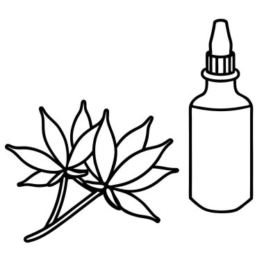 Clove Buds with a Small Bottle of Clove Essential Oil Aromatherapy Vector Illustration Design clipart