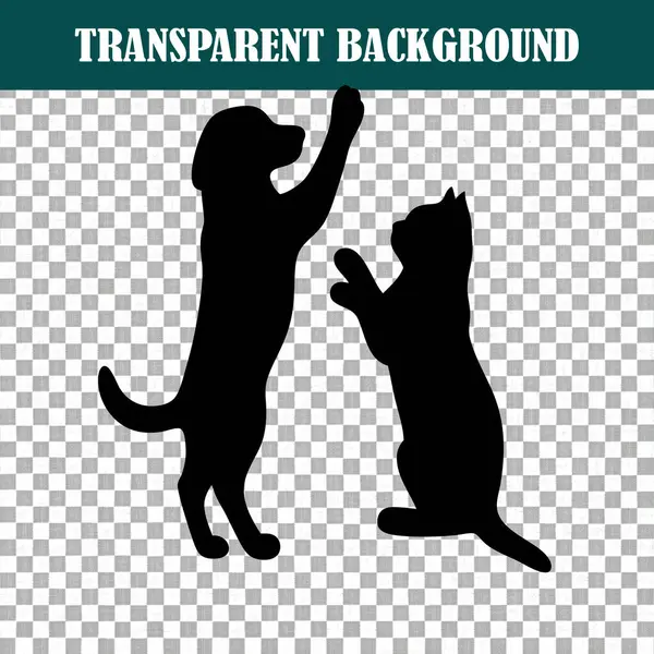 Oynayan kedi ve köpeğin büyüleyici bir görüntüsü.