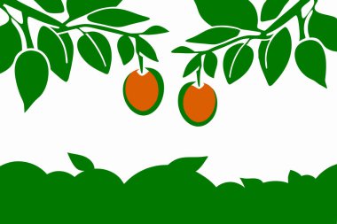 Basitleştirilmiş bir illüstrasyonda olgun, sulu portakallarla dolu canlı bir meyve ağacı ve temiz beyaz arka planda yemyeşil yapraklar sergileniyor. Bu vektör grafiği, taze yiyecek ve sağlıklı yemek kavramlarının taşınması için ideal minimalist bir tasarıma sahiptir.