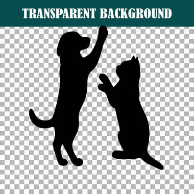 Oynayan kedi ve köpeğin büyüleyici bir görüntüsü.