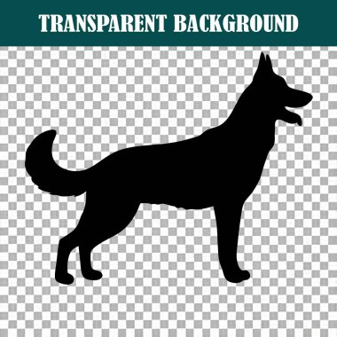 Pürüzsüz ve şık bir Alman çoban köpeği silueti el değmemiş bir arkaplanda gururla durur.