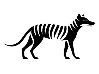 Klasik siyah-beyaz sanatında ortaya çıkan soyu tükenmiş Tazmanya kaplanının (Thylacine) çarpıcı bir silueti. Bu vektör illüstrasyonu karakteristik çizgileriyle ikonik keseliyi tasvir eder. Grafik tasarım projeleri ve eğitim için ideal