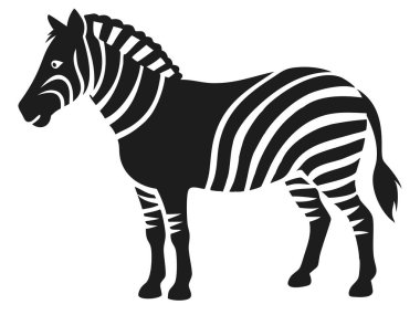 Çarpıcı bir siyah-beyaz vektör çizimi görkemli bir zebra sergiliyor. Bu grafik tasarımı Afrika memelilerini basit, minimalist bir şekilde tasvir eder, çeşitli uygulamalar için mükemmeldir. İkonik çizgileriyle hayvanın izole edilmiş silueti.,
