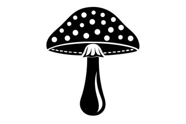 Detaylı, klasik tarzda siyah-beyaz bir resimde ormanın klasik bir sembolü olan Amanita mantarı sergilenir. Bu tek renkli grafikte titizlikle çizilmiş puantiyeli bir mantar var. Tasarım projeleri için ideal, izole edilmiş v