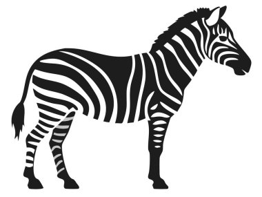 Çarpıcı bir siyah-beyaz vektör illüstrasyonunda, profilde ayakta duran bir zebra görülüyor. Bu zarif tasarım, ikonik çizgilerini vurgulayan, Afrika memelilerinin minimalist bir siluetini içerir. Grafik ögesi, simge ya da clipart olarak kullanmak için mükemmel, 
