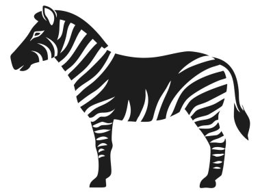 Çarpıcı bir siyah-beyaz vektör çizimi, el değmemiş beyaz arka plana karşı ayakta duran bir zebra tasvir eder. Çizgili bir Afrika memelisinin bu zarif silueti, temiz, minimalist estetik, grafik tasarım projeleri için mükemmel. İdeal