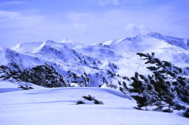Mavi bir gökyüzünün altında karla kaplı dağları barındıran sakin bir kış manzarası. Ön planda kar yığınları ve seyrek, rüzgarla süpürülmüş ağaçlar, sakin bir atmosfer yaratıyor..