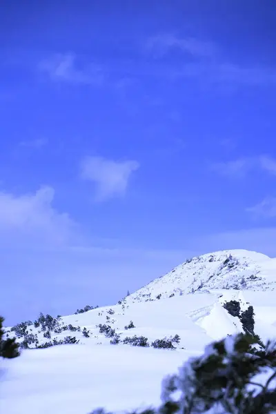 Berrak mavi gökyüzünün altında karla kaplı bir tepenin bulunduğu sakin bir kış manzarası. Ön planda kar parçaları ve biraz yeşillik var. Huzurlu bir kış manzarası yaratıyorlar..