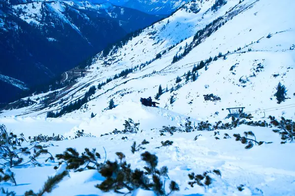 Karla kaplı dağlar ve bir vadiden oluşan manzaralı bir kış manzarası. Çam ağaçları karlı araziye saçılmıştır ve uzak bir mesafeden dolambaçlı bir yol görülebilir. Gökyüzü açık, güzel mavi bir renk sergiliyor..