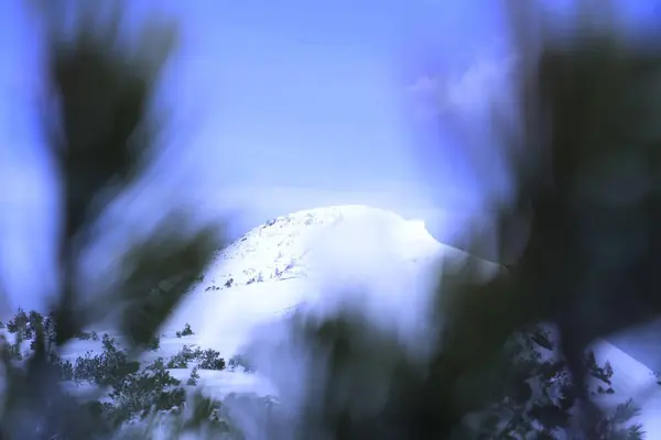 Etrafı yeşilliklerle çevrili, karla kaplı bir dağın bulanık manzarası. Gökyüzü yumuşak bulutlarla berrak, sakin ve sakin bir atmosfer yaratıyor..