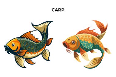 Ayrıntılı Sazan balığı vektör çizimi. 