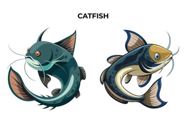 Ayrıntılı Catfish vektör çizimi. 