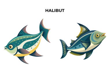Ayrıntılı Halibut balık vektör çizimi. 