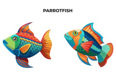 Ayrıntılı Parrotfish vektör çizimi. 