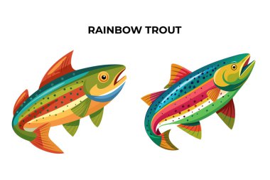 Ayrıntılı Gökkuşağı Alabalık balık vektör çizimi. 