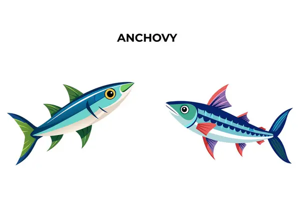 stock vector Detailed Anchovy Fish vector illustration. 