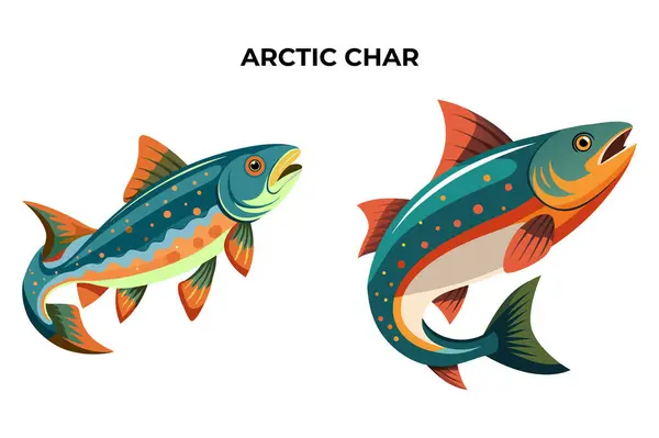 stock vector Detailed Arctic Char Fish vector illustration. 