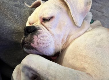 Hareketli mistik arkaplan, soyut