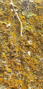 Burası çok güzel, fotoğraf çekmek için mükemmel, kayaların tepesinden limanı görebilirsiniz.,