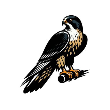 Falcon vector art illustration clipart